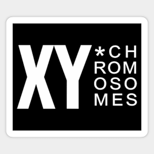 XY CHROMOSOMES WHITE Magnet